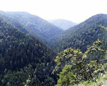 Aussicht