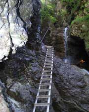 Leitern in der Schlucht Sucha Bela