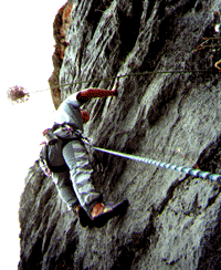 Bernd beim klettern(vor den Wespen)