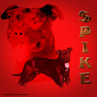 spike